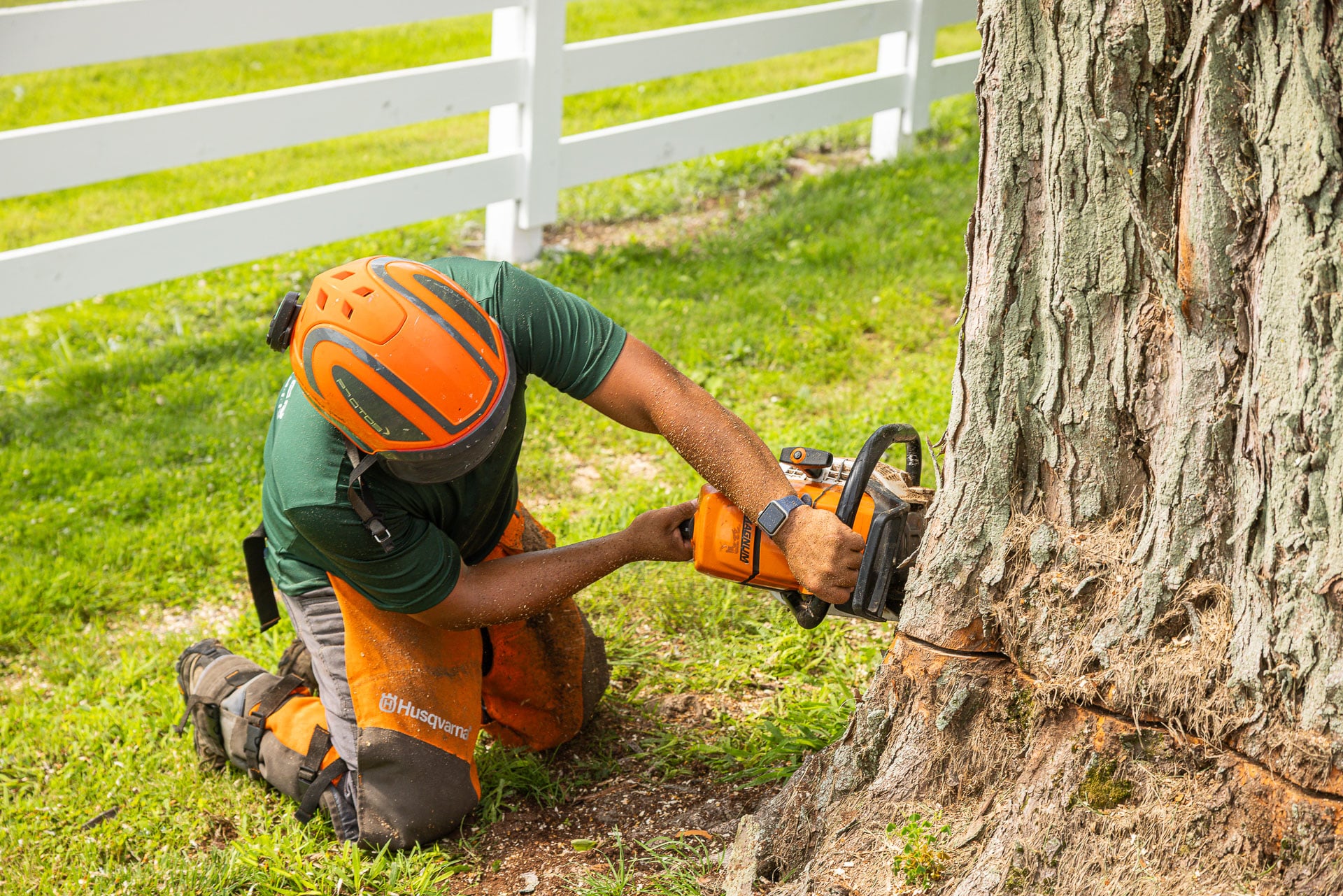Tree care technician removing a dead tree trunk with a chainsaw