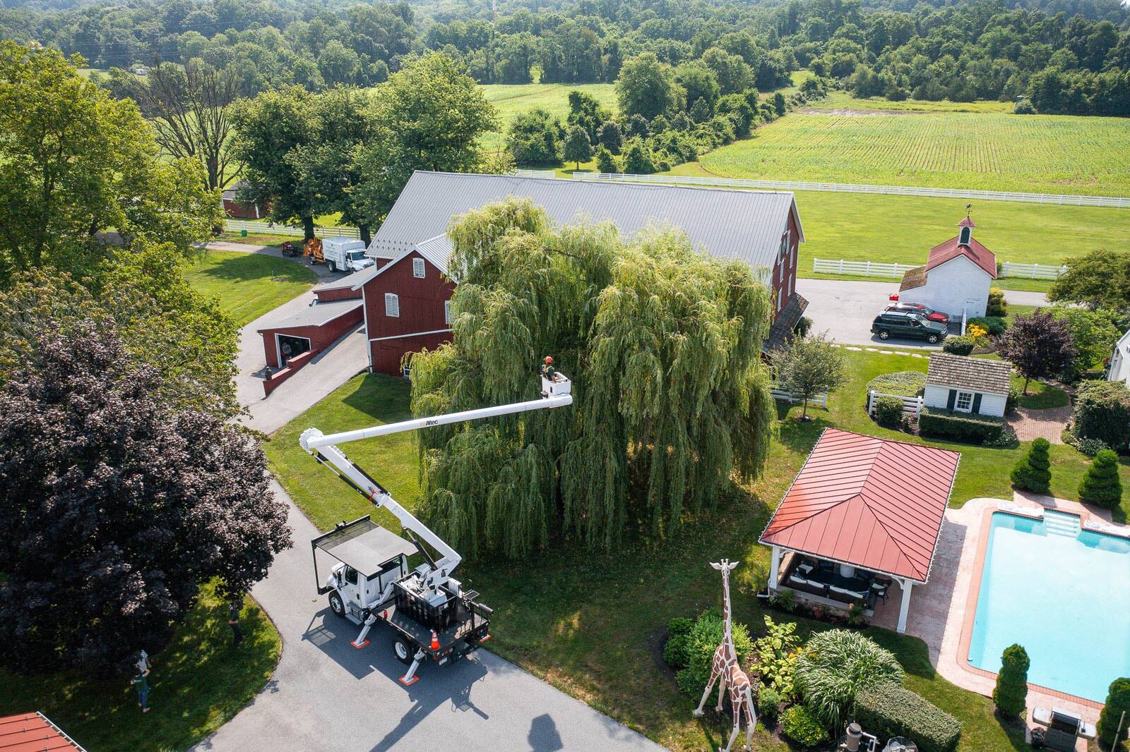 tree techs and lawn crew meeting in the yard