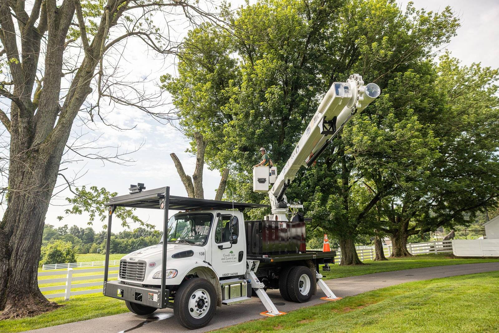 bucket truck tree removal pruning