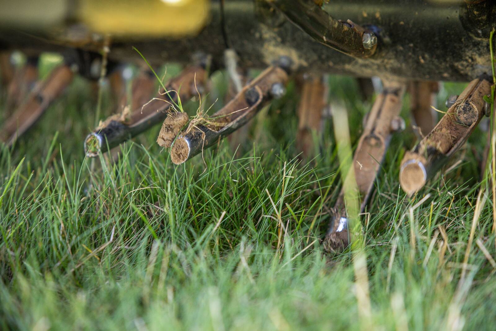 aerator pulling soil plugs out of the ground