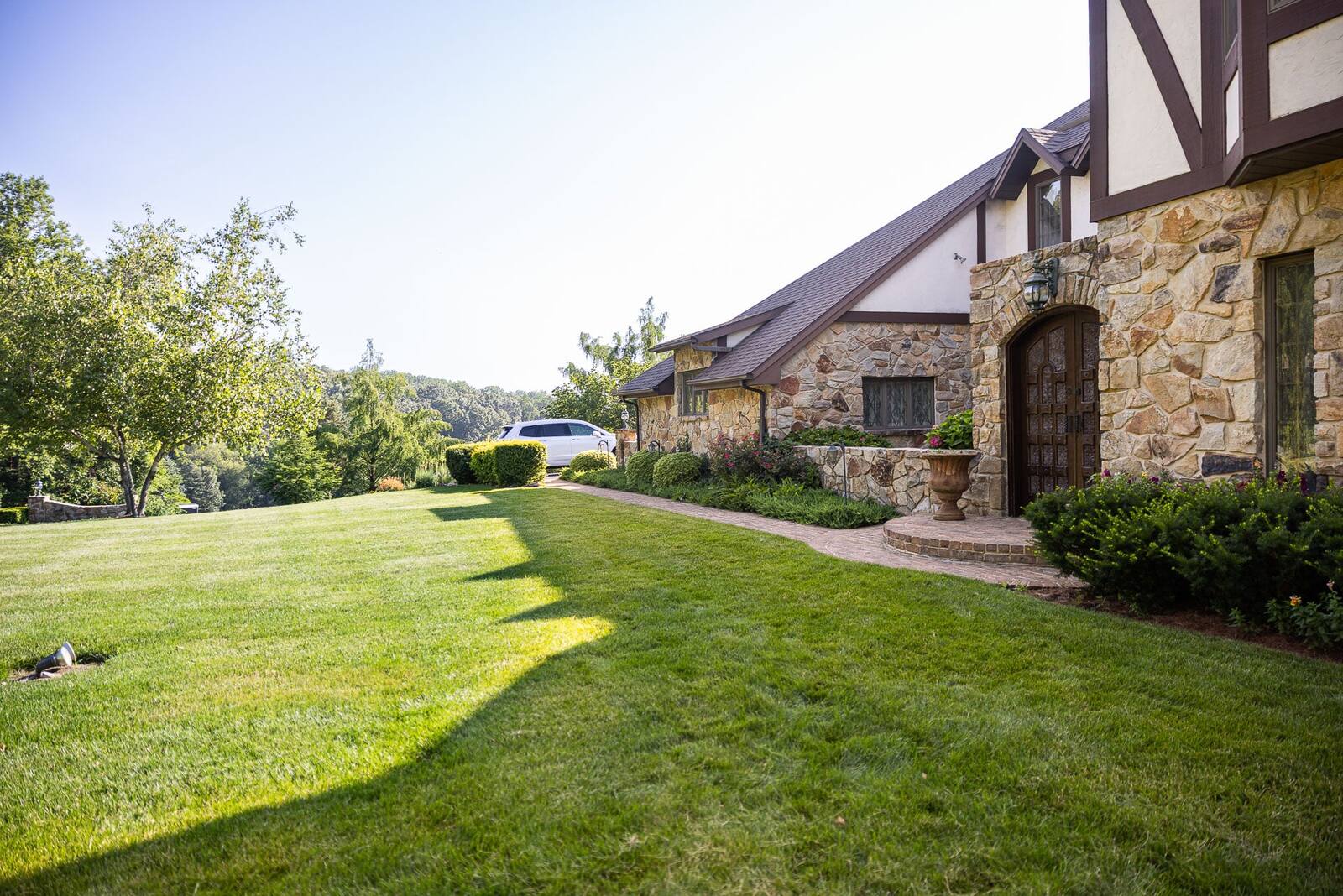 nice green lawn grass turf home