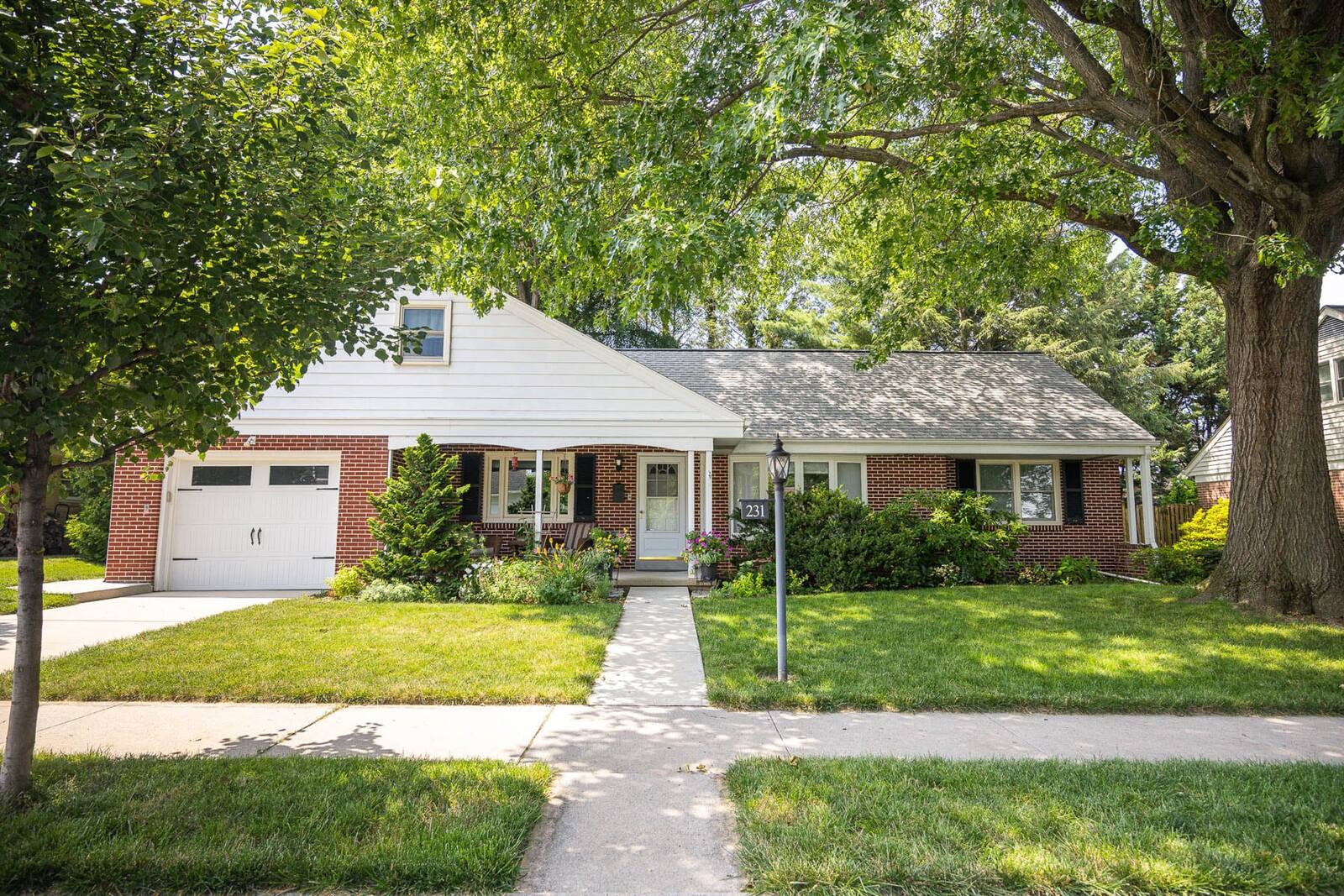 nice home grass shade lawn tree 2
