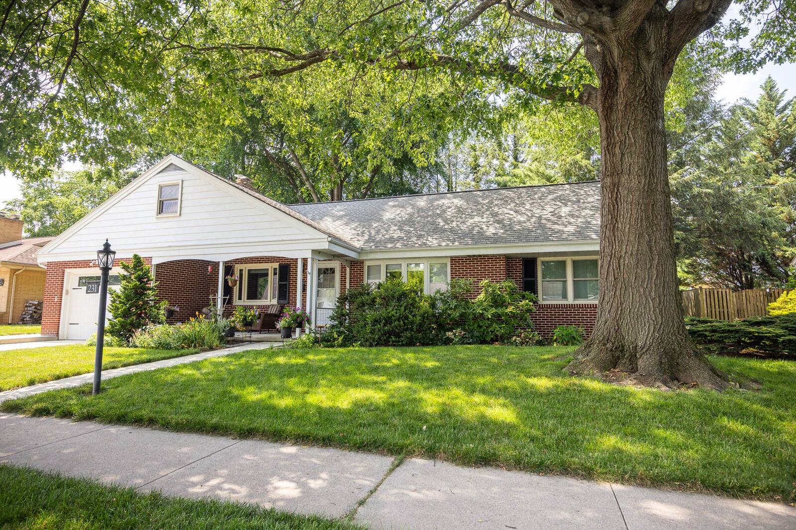 nice home grass shade lawn tree