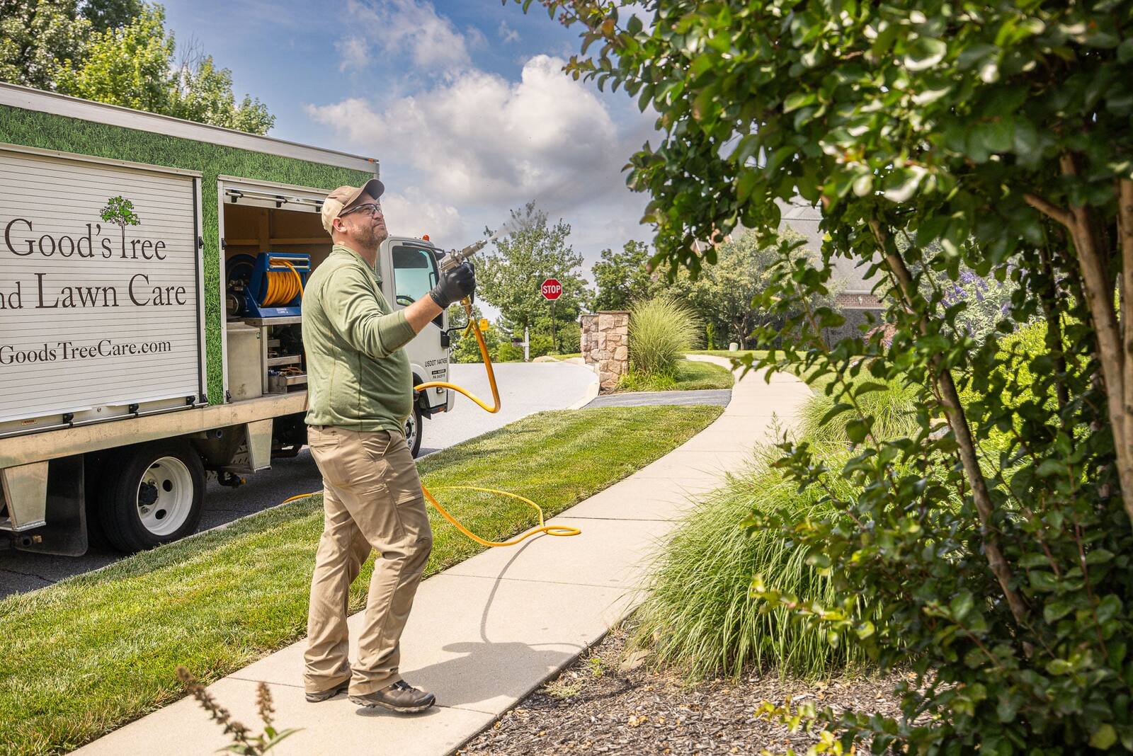 plant health care tech spraying shrubs trees 5