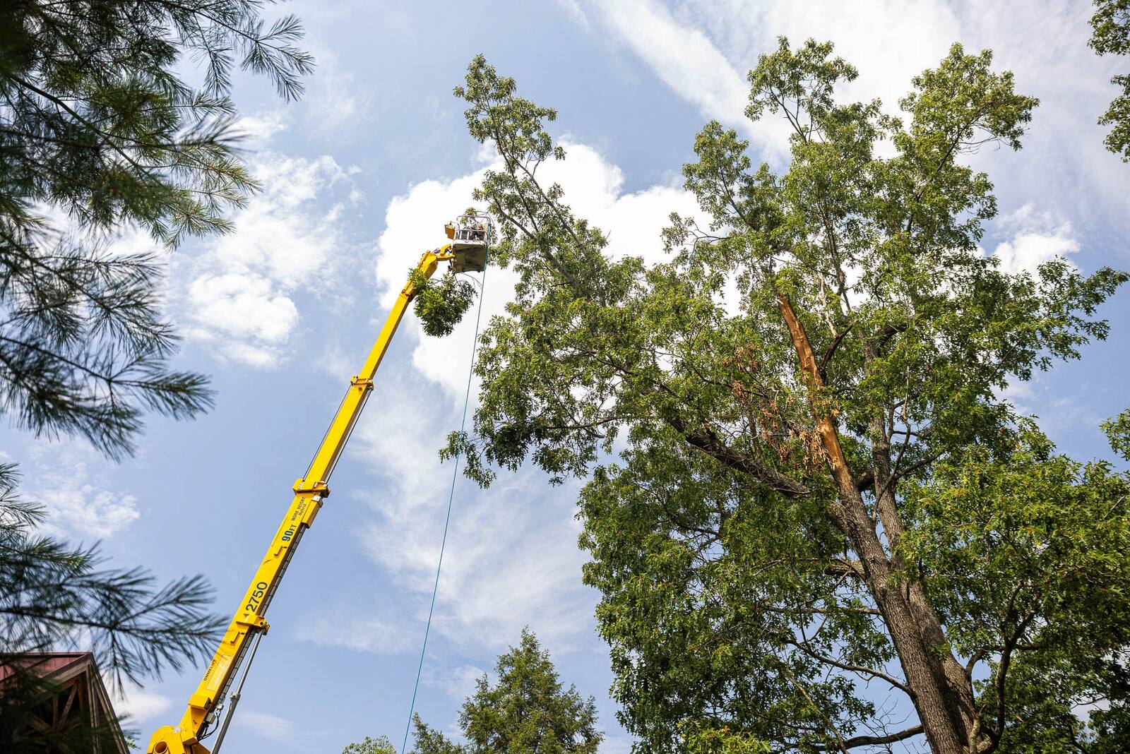 tree techs and lawn crew meeting in the yard