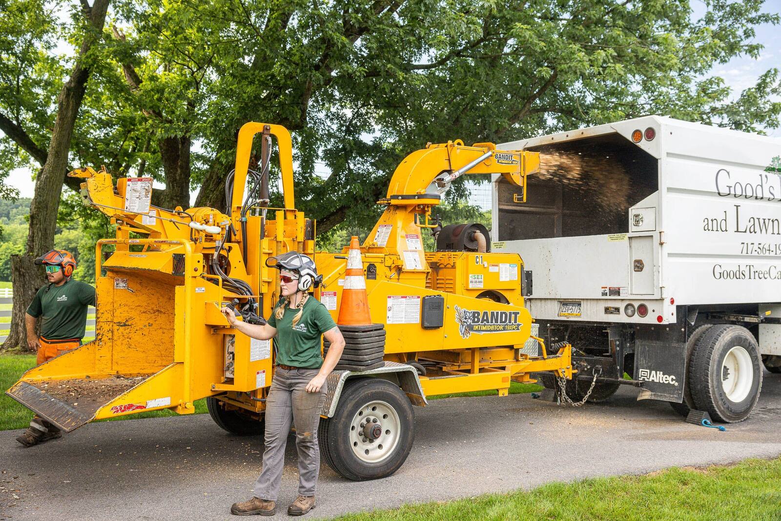 wood chipper chipping tree crew
