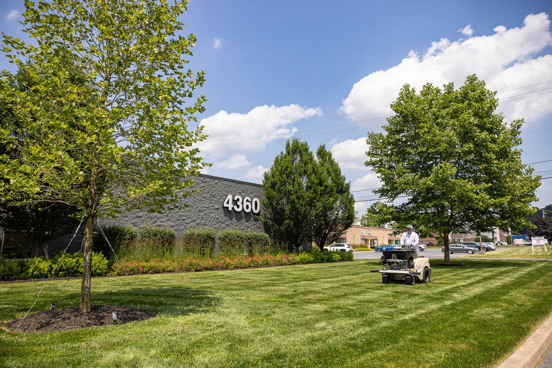 Commercial property lawn and bed maintenance