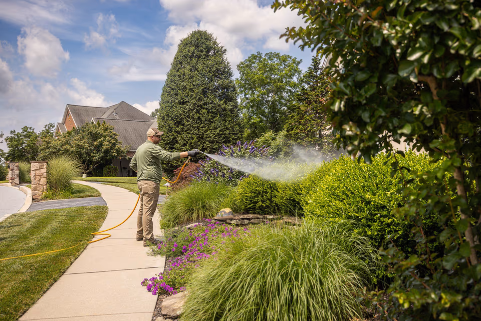 Plant health technician spraying shrubs and ornamentals