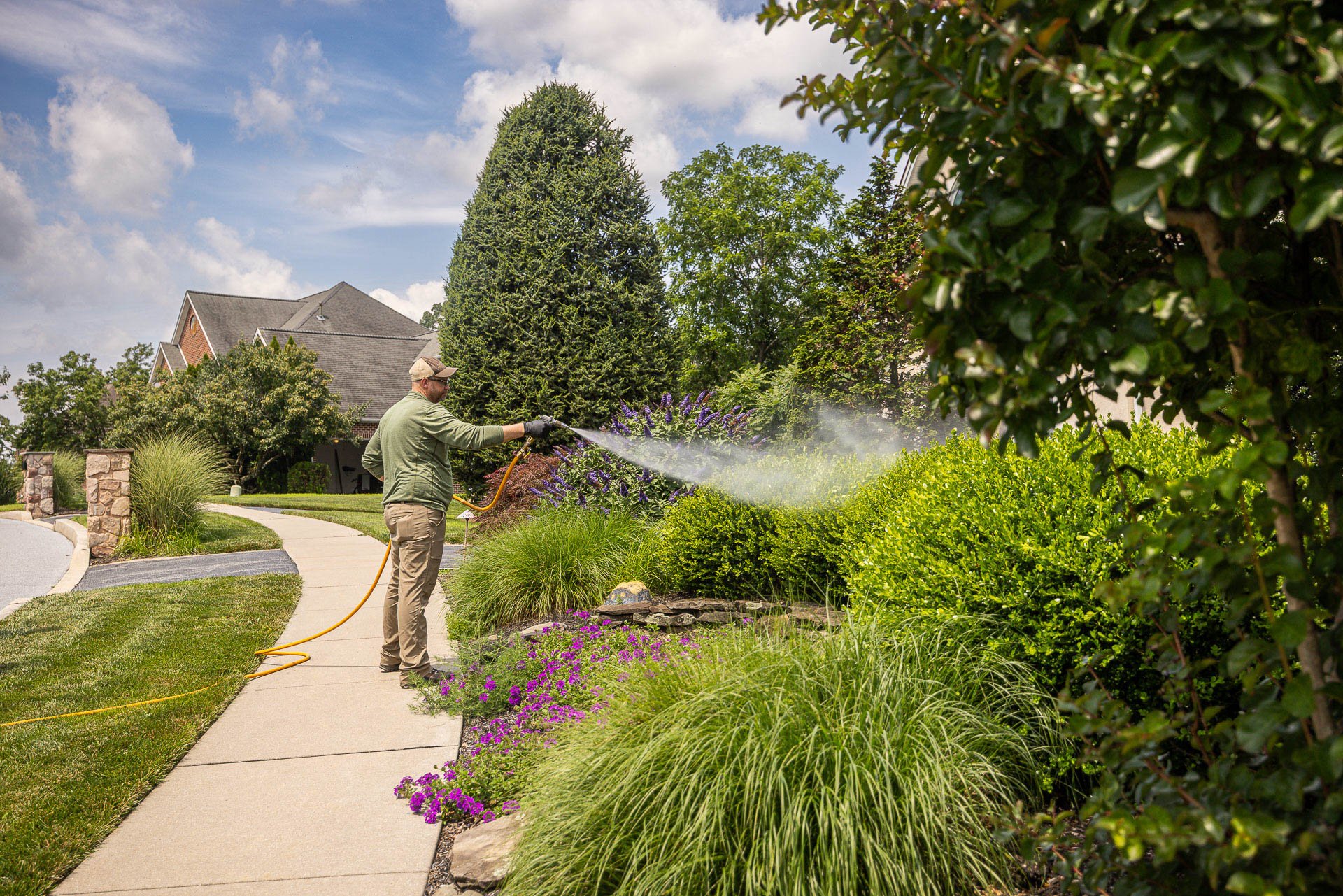 Plant health technician spraying shrubs and ornamentals