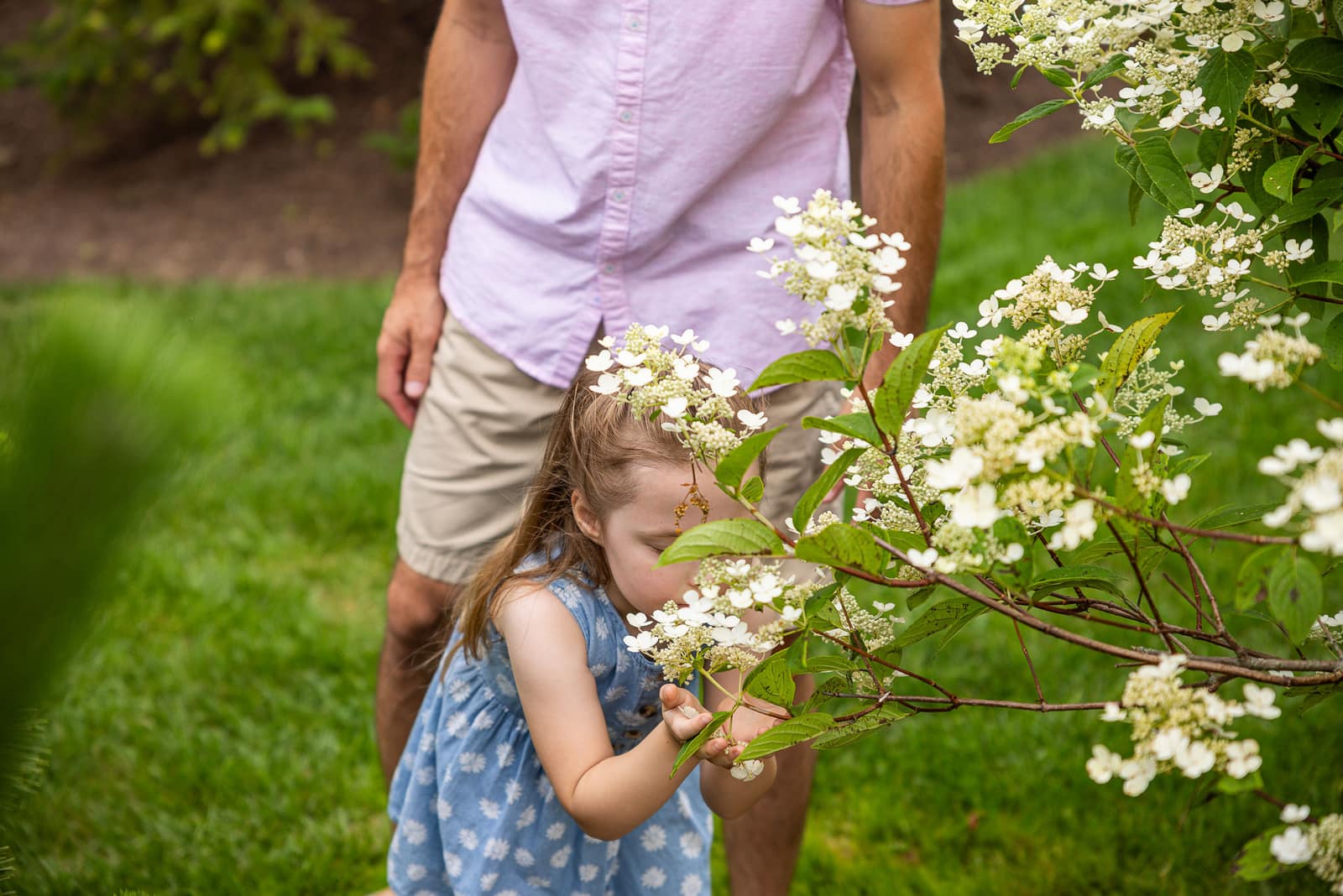 Child enjoying a healthy flowering shrub in a Good’s-maintained yard