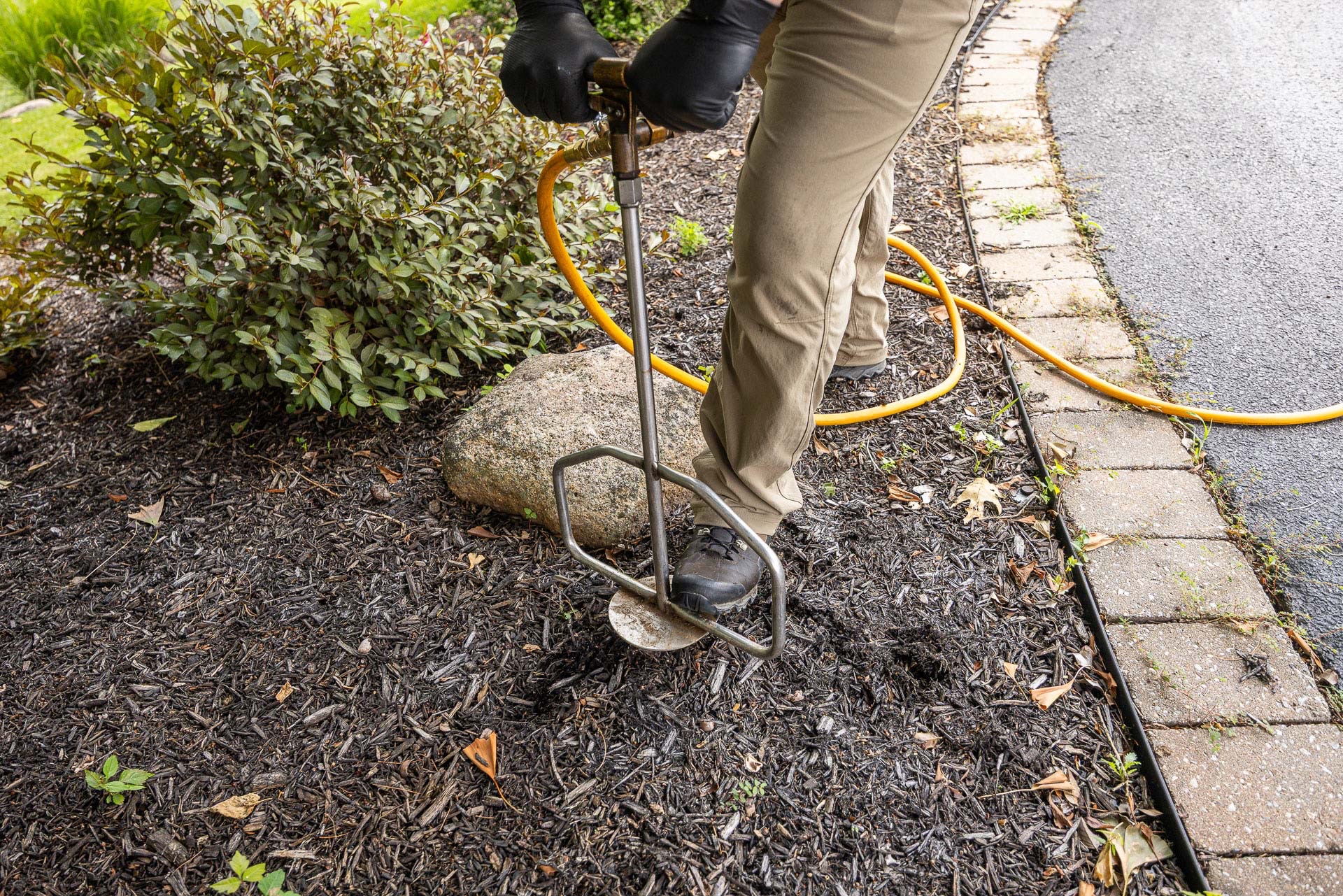Plant health care tech making a soil-injection treatment at the base of a mature tree