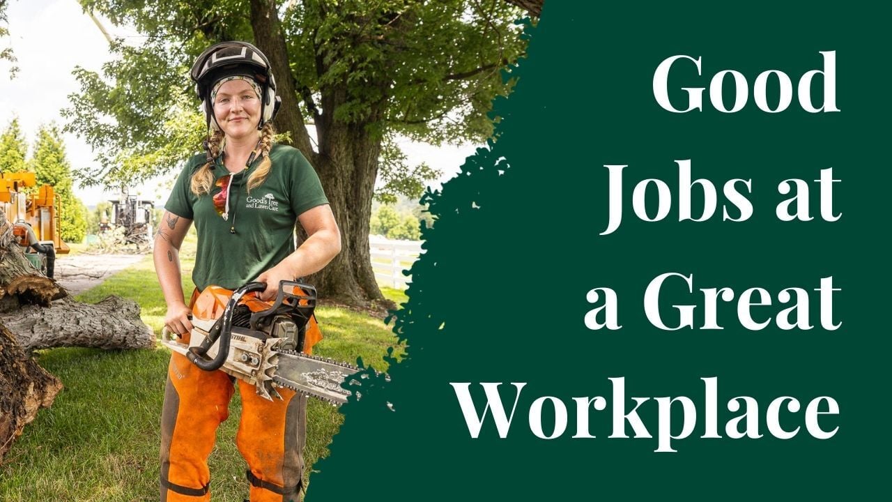 Careers Video - Goods