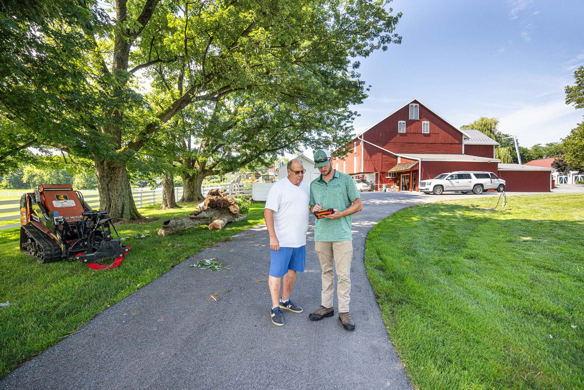 understand your insurance policy for fallen tree damage