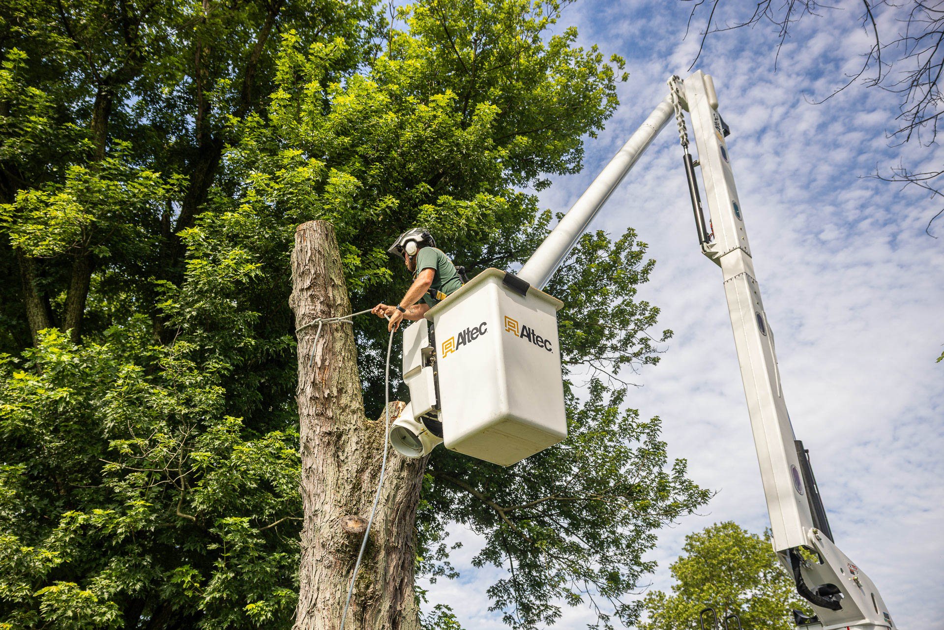 a heavily damaged tree being removed