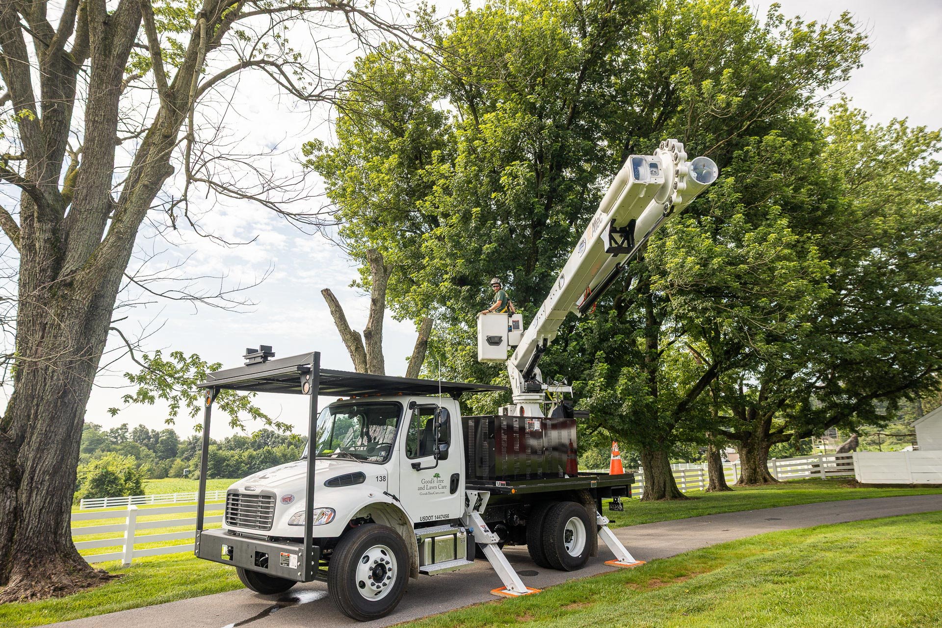 bucket truck tree removal pruning