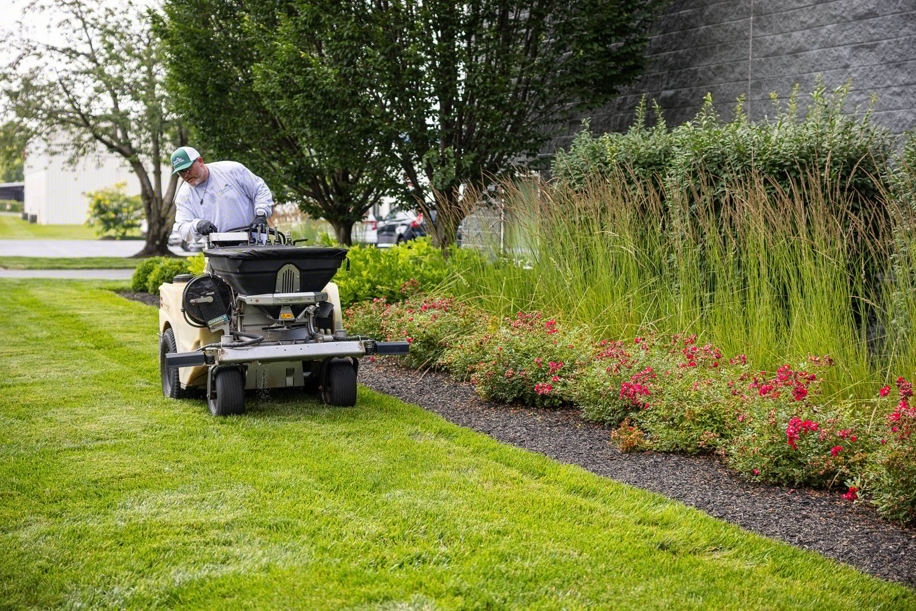 commercial lawn care application fertilizer granular planting bed grass tech