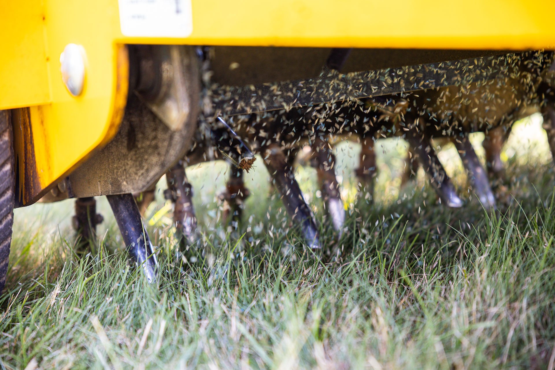 detail aerator tines core aeration plugs overseed grass 2