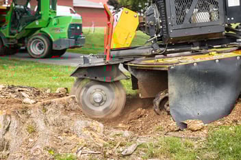 stump grinder removing a stump below grade