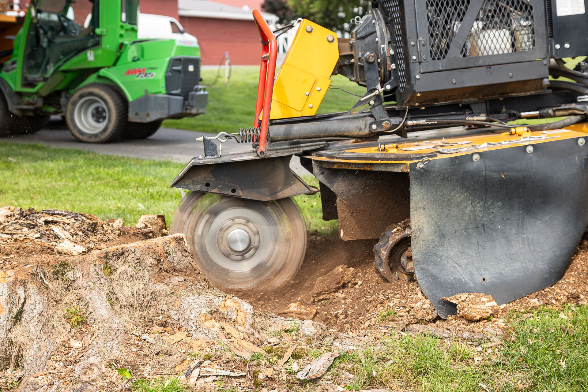 stump grinders use high speeds to chew away at the stump