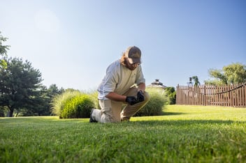 technician inspecting lawn
