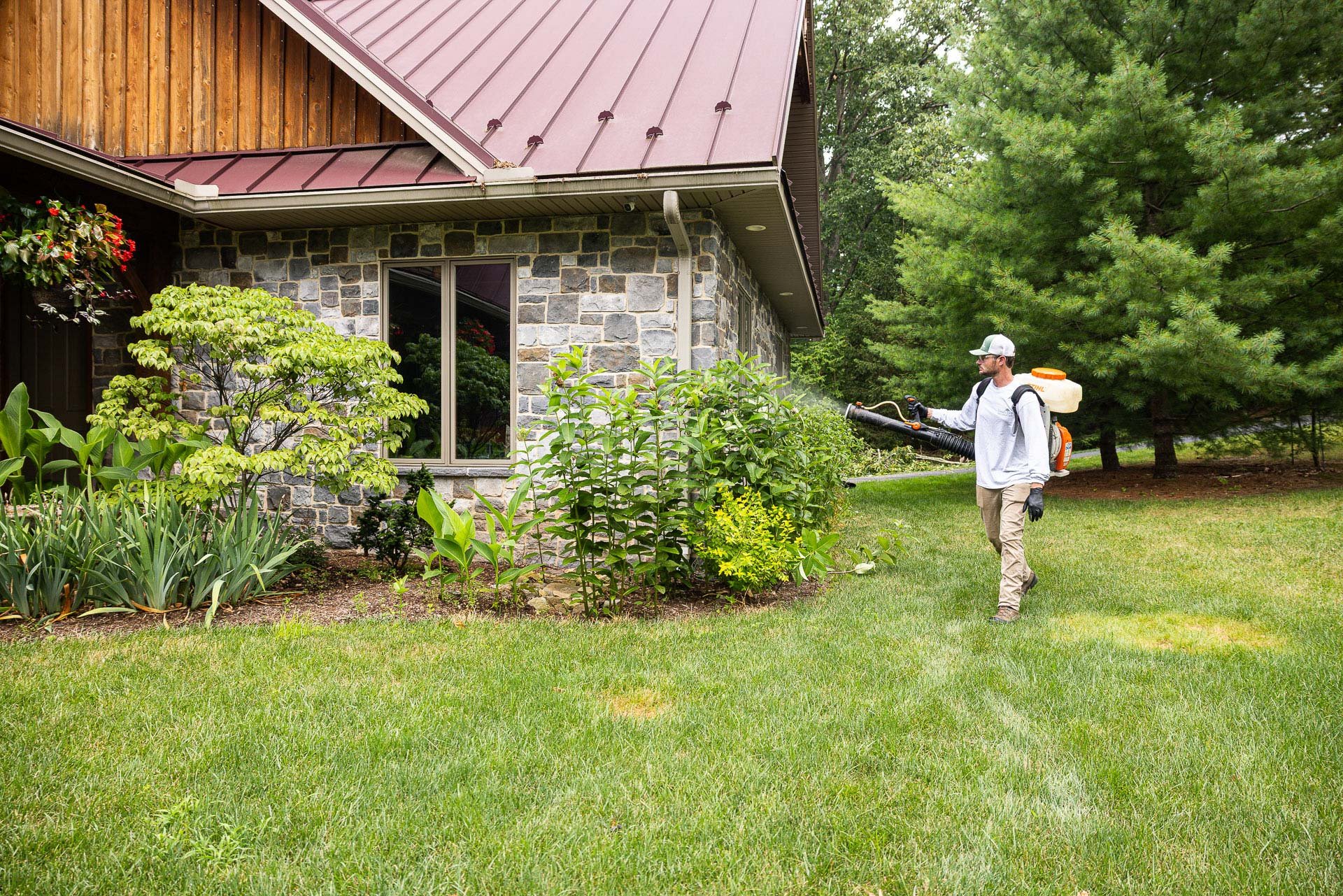 mosquito control fog spray shrubs bed 4