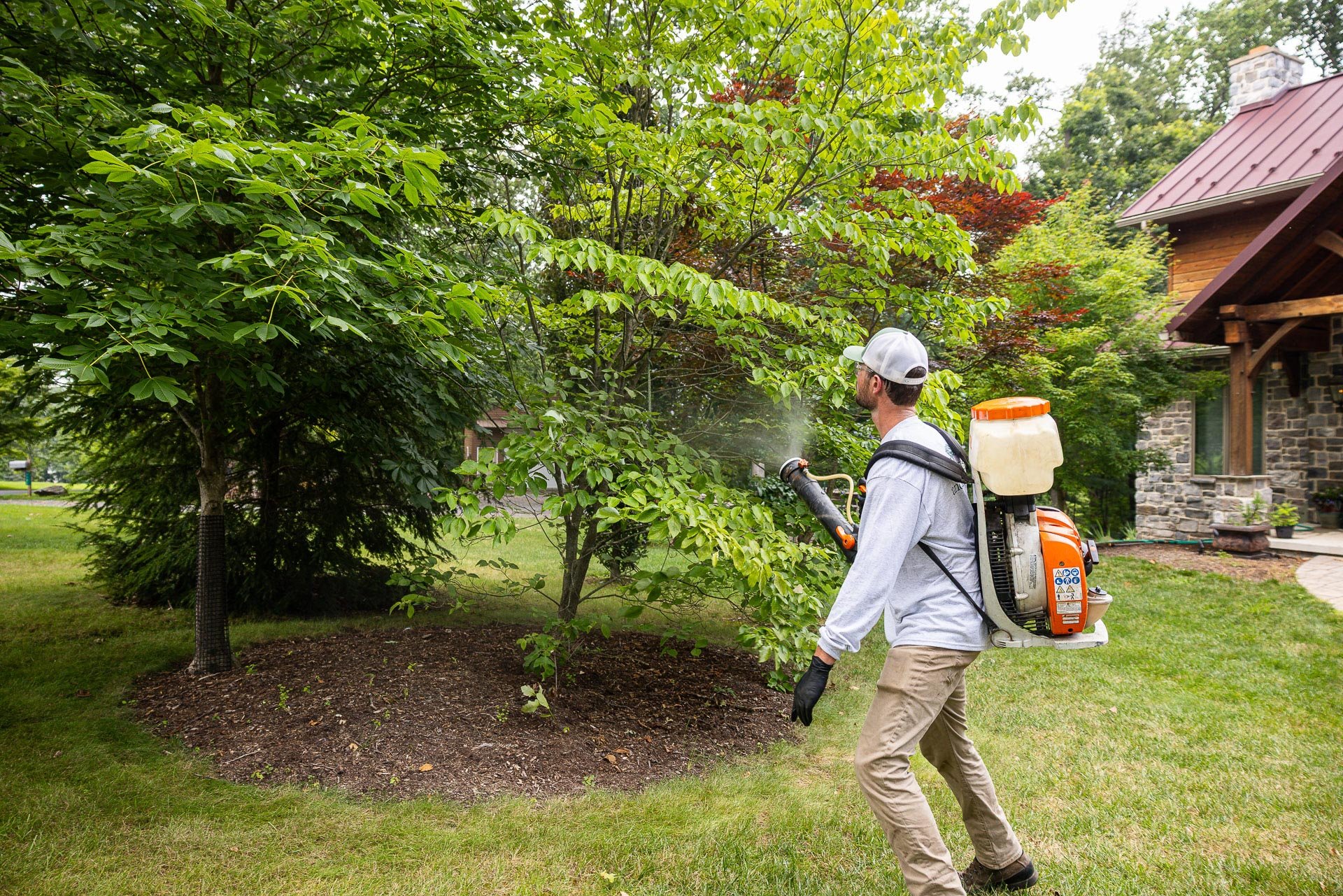 mosquito control fog spray shrubs bed 8