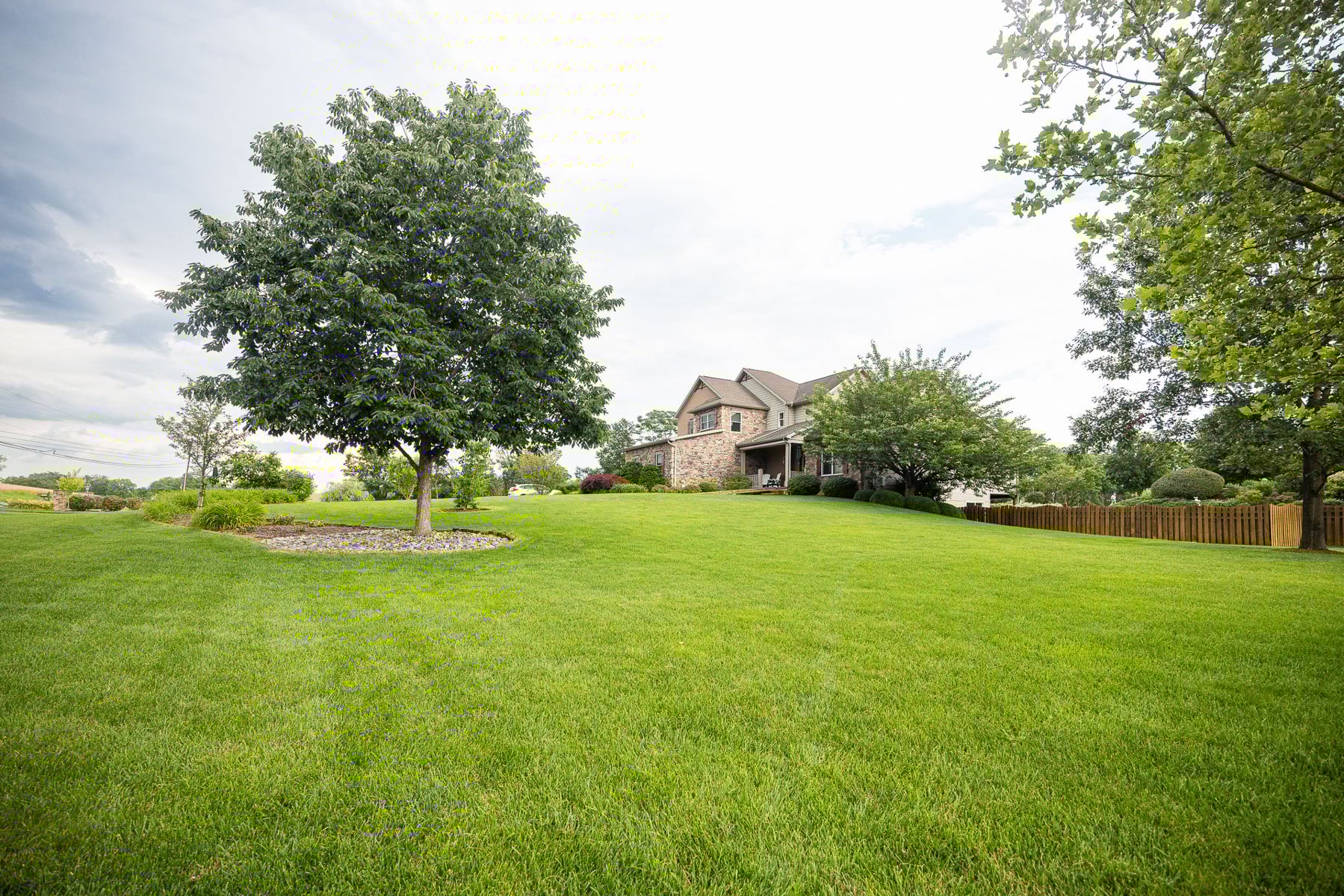 healthy trees start with proper care in the spring