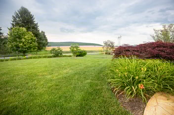 healthy grass thanks to good lawn care in south central pa