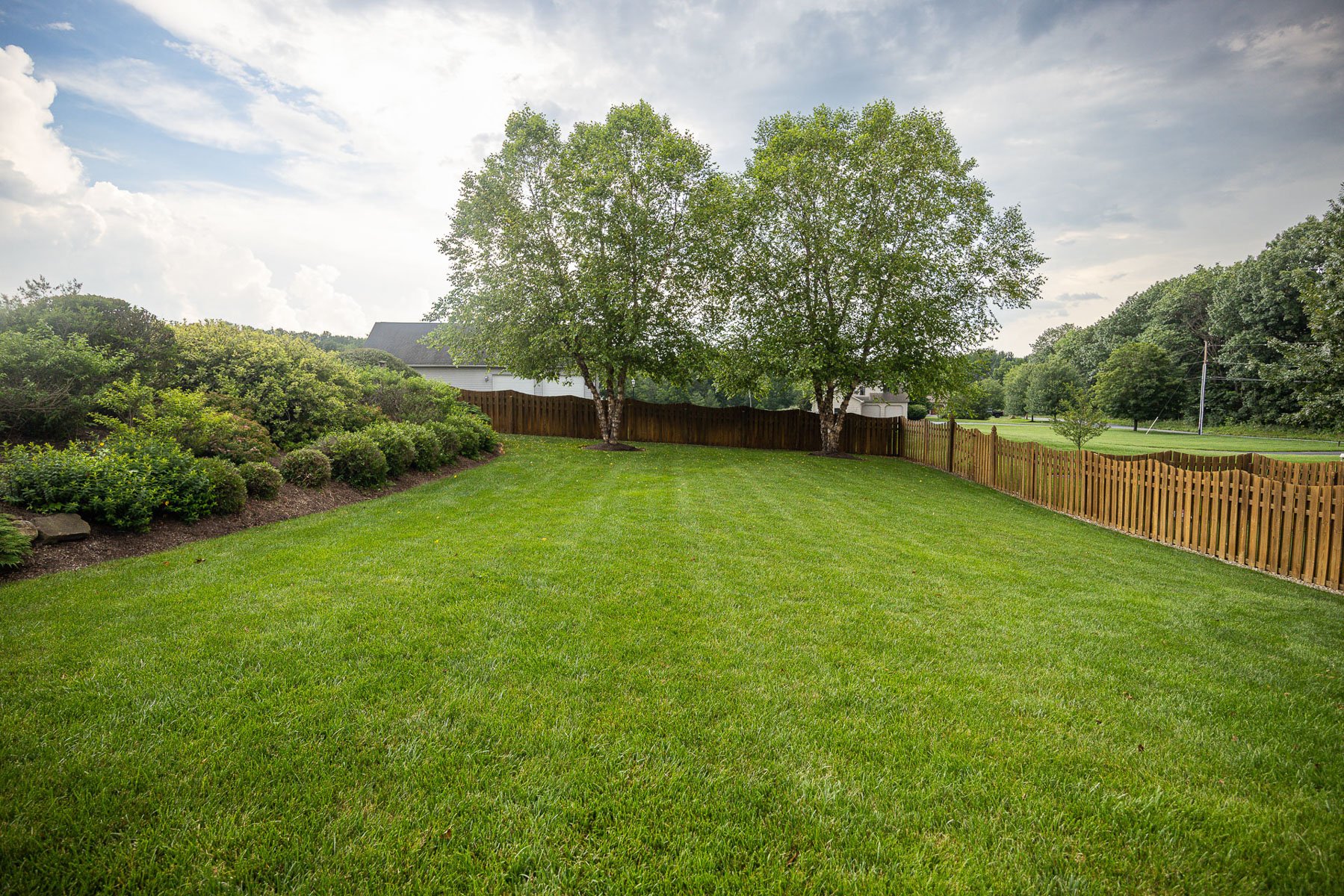 nice green lawn grass backyard fence trees shrubs plants 4