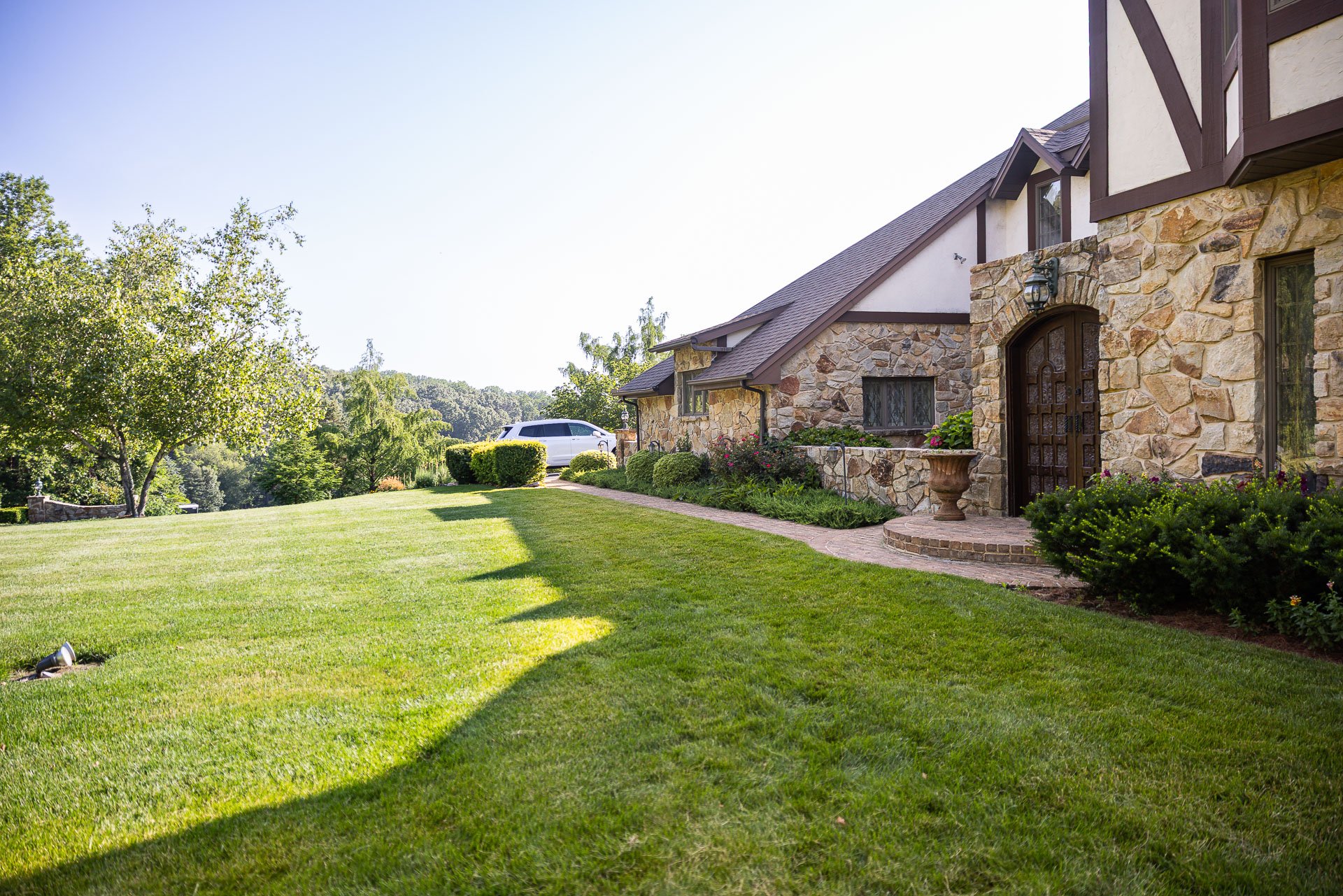 nice green lawn grass turf home