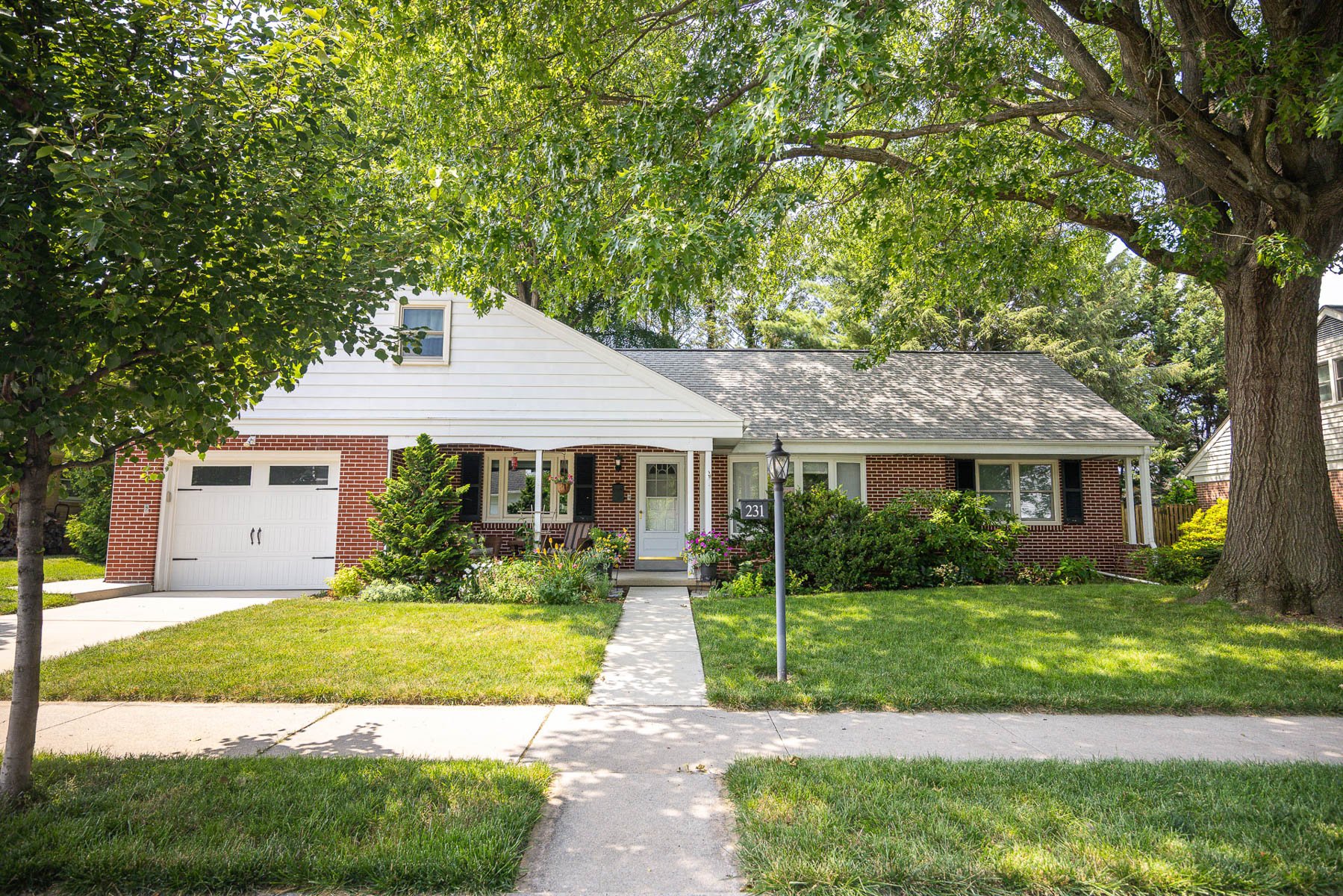 nice home grass shade lawn tree 2