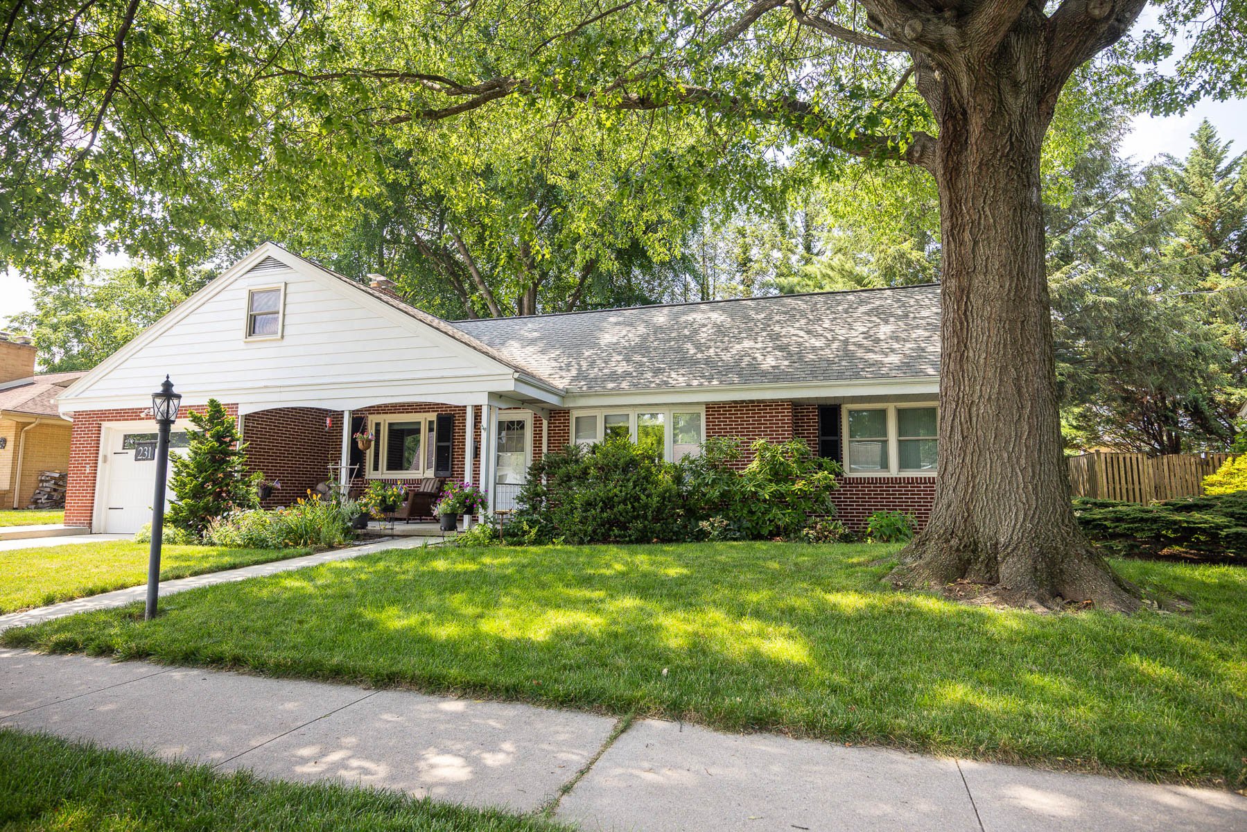 nice home grass shade lawn tree