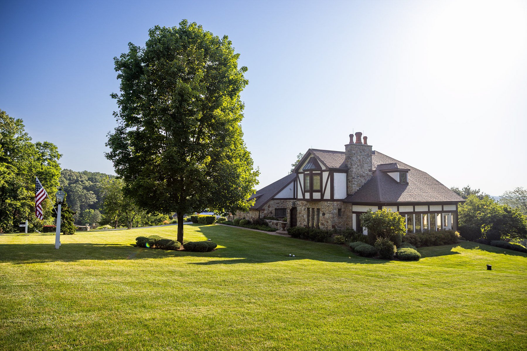 nice lawn home tree flag green grass turf