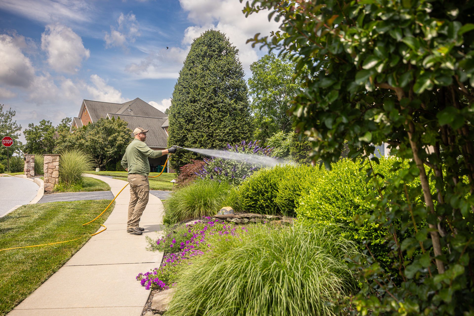 plant health care tech spraying shrubs trees