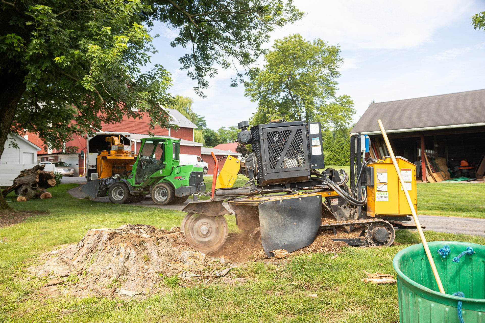 grinding down a stump