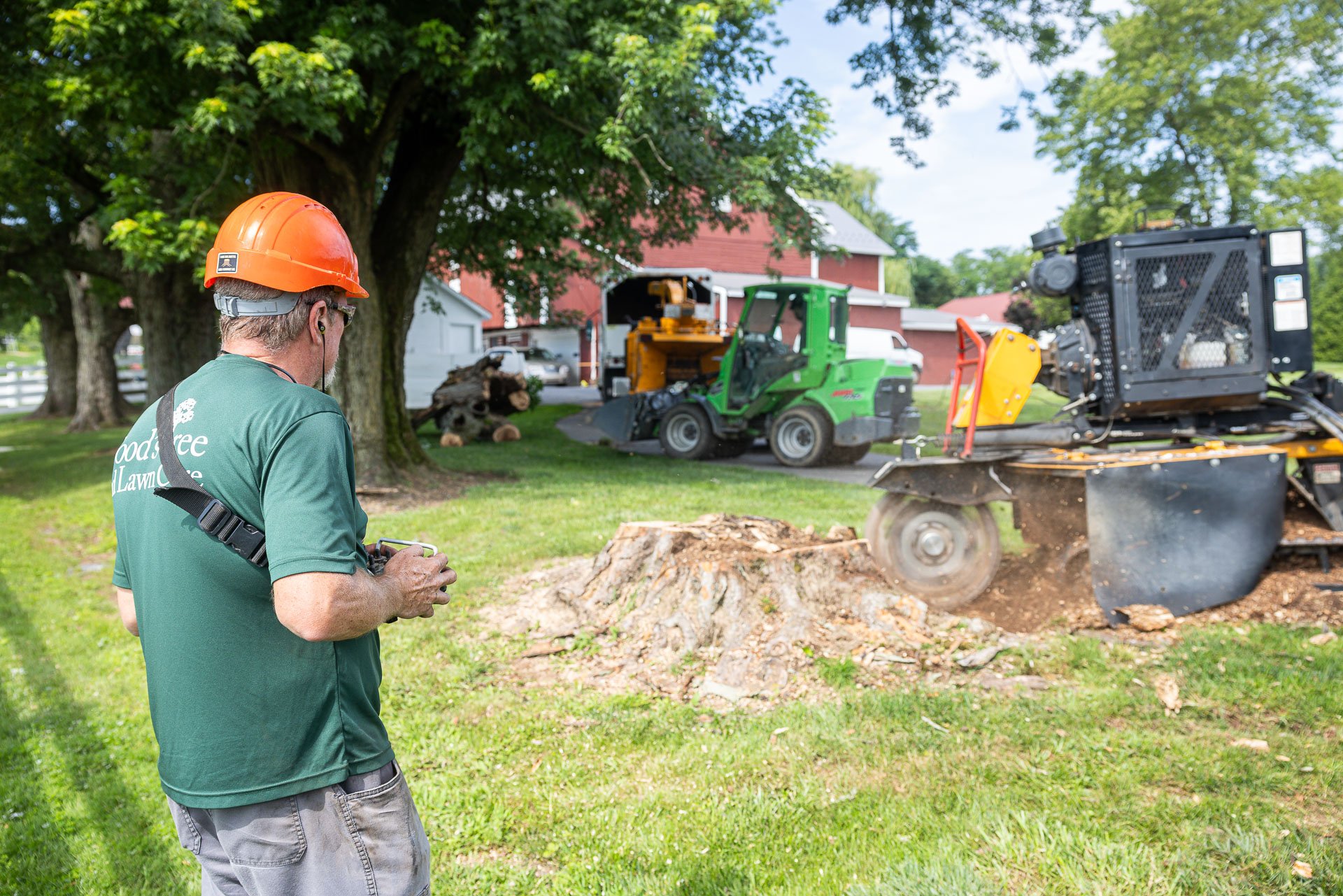 tree removal crew operating a remote stump grinder