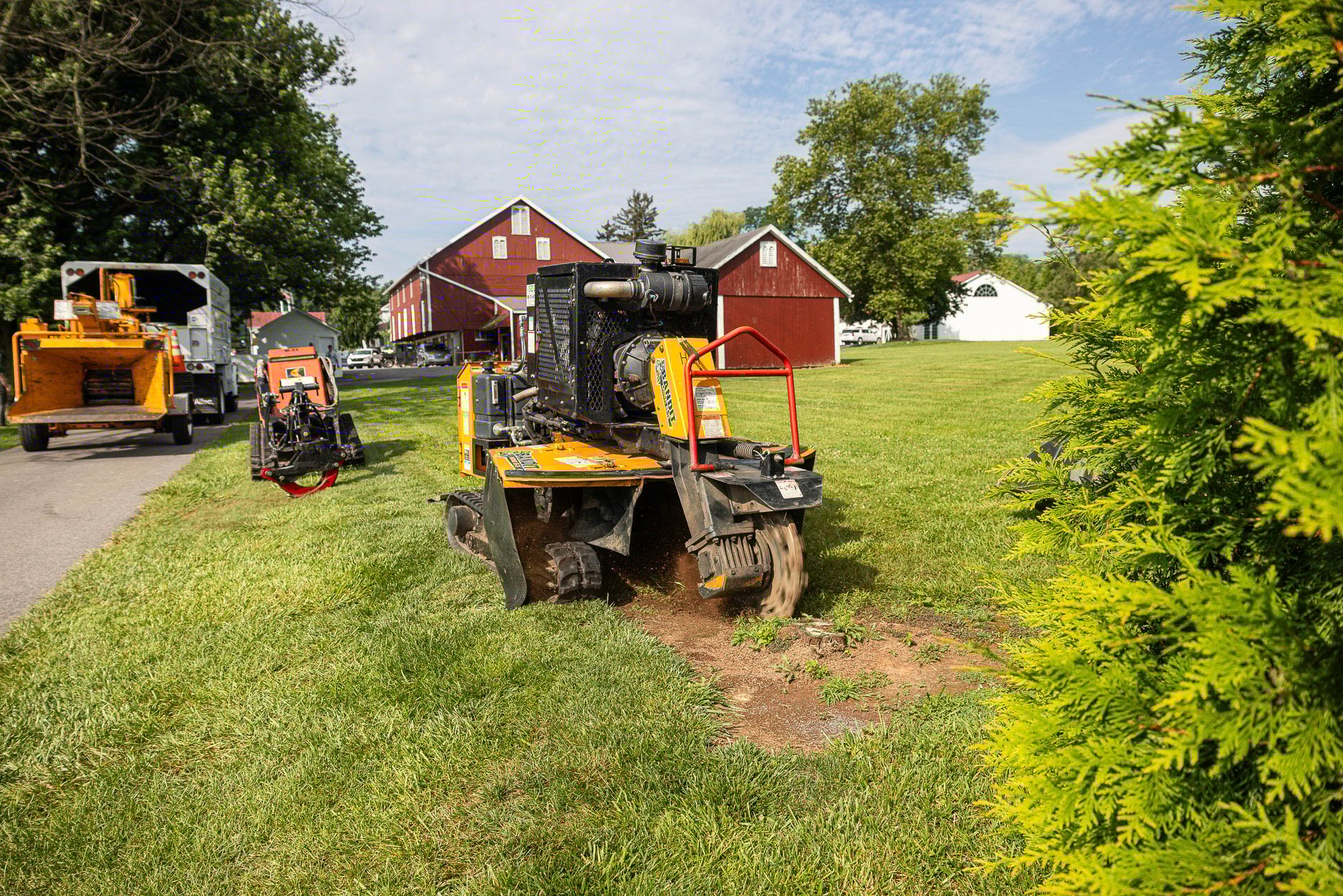stump grinders are great for big or small stumps