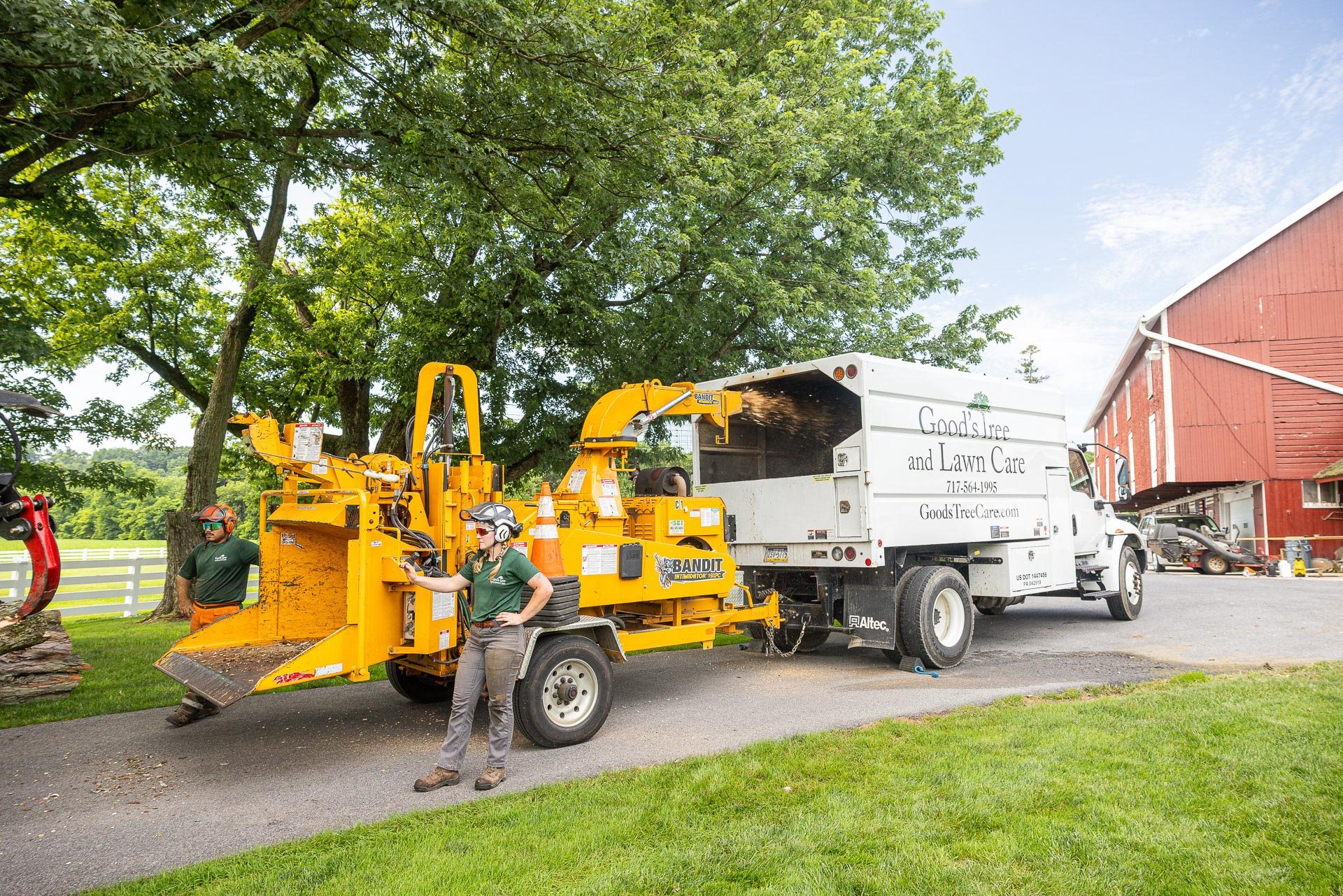 wood chipper chipping tree crew 2