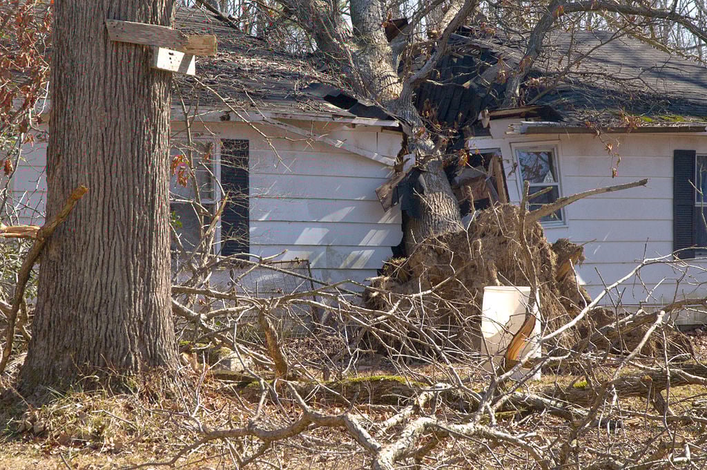 House Damaged by a fallen Tree