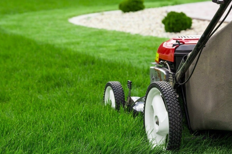 mowing grass regularly with a lawn mower