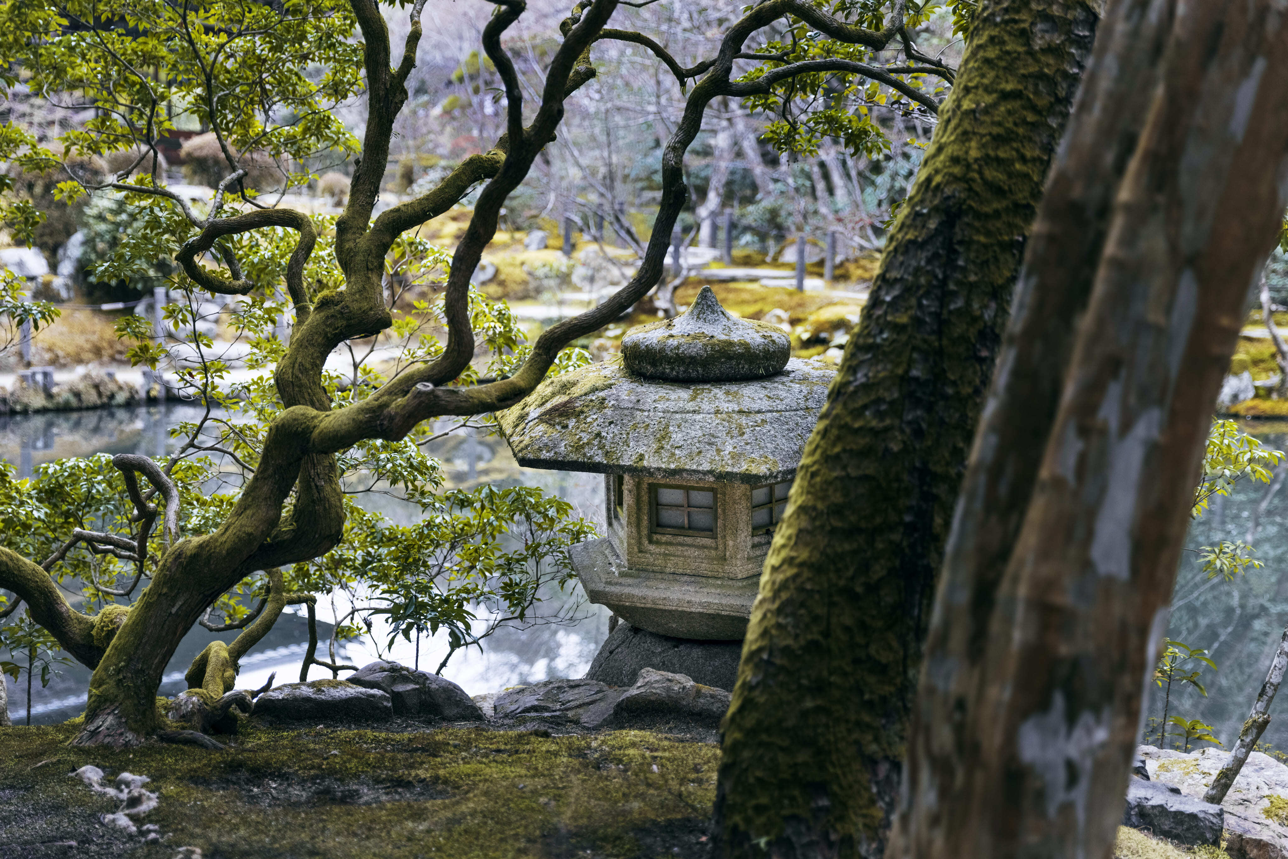 beatiful-japonese-garden