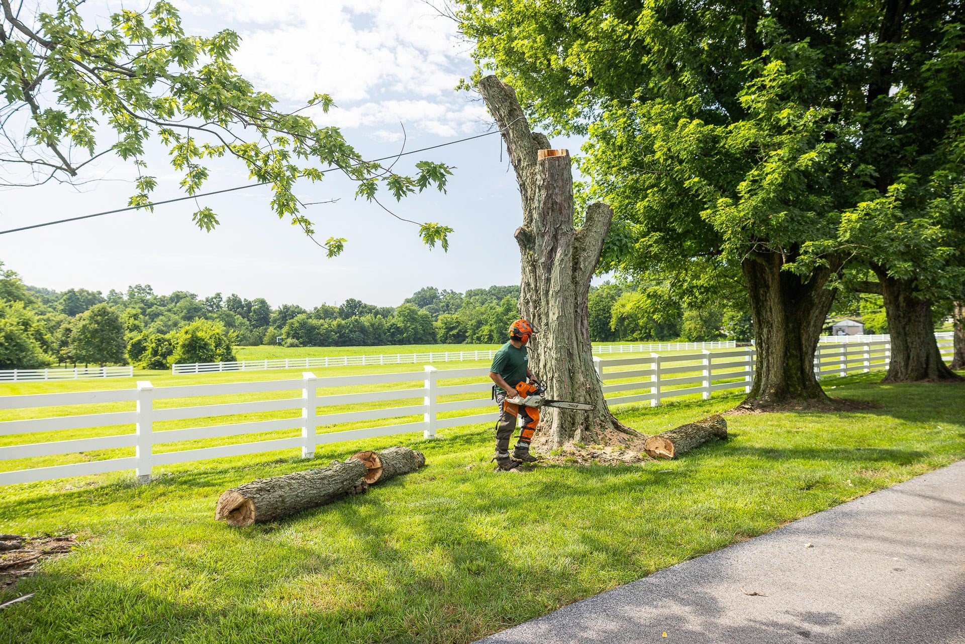 technician using chain saw on tree