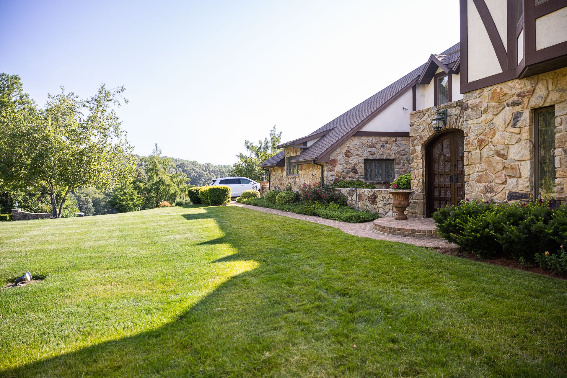 nice green lawn grass turf home
