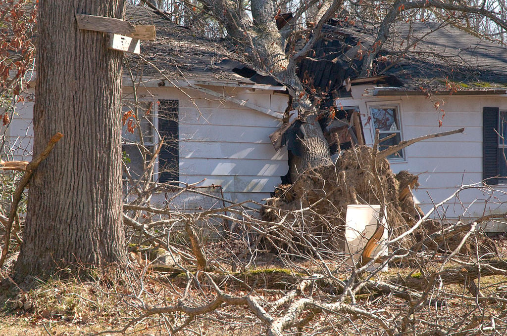 House Damaged by a fallen Tree