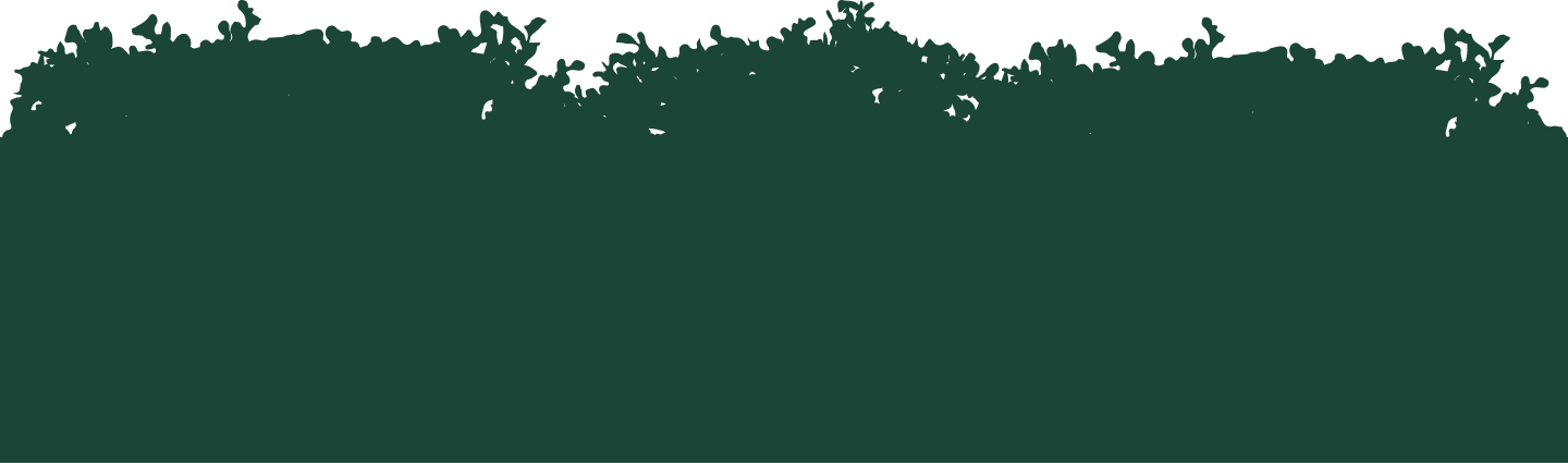 bottom banner
