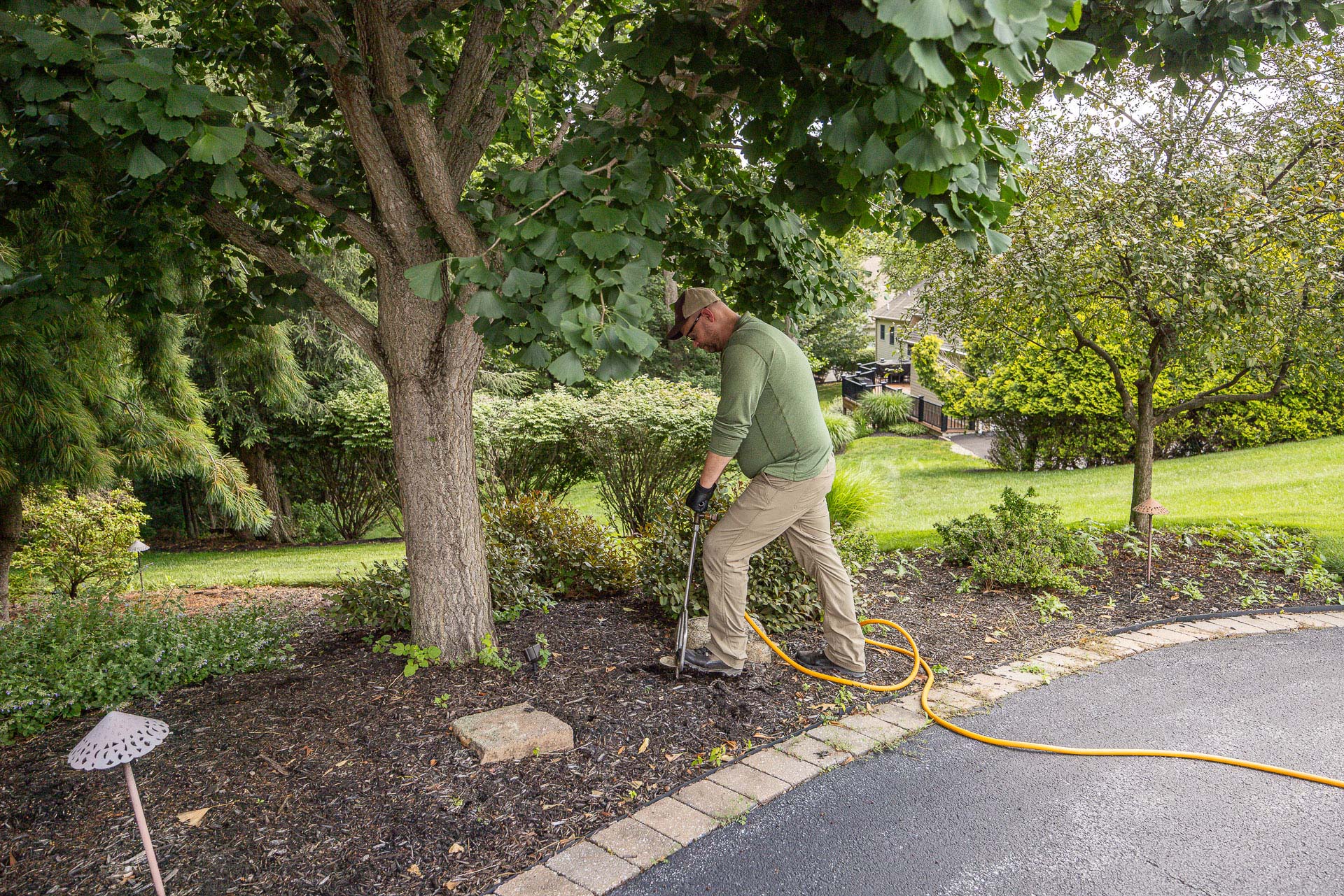 plant health care tech deep root injection fertilizer